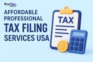 Affordable Professional Tax Filing Services USA