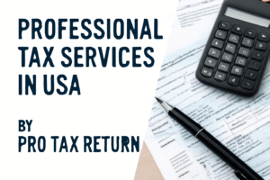 Professional Tax Services in USA – Simplifying Tax Filing with Expert Help
